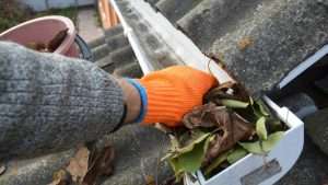 Gutter Cleaning Wexford, Carlow & Wicklow