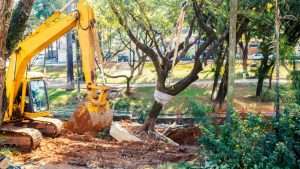 Tree Removals Wexford, Carlow & Wicklow